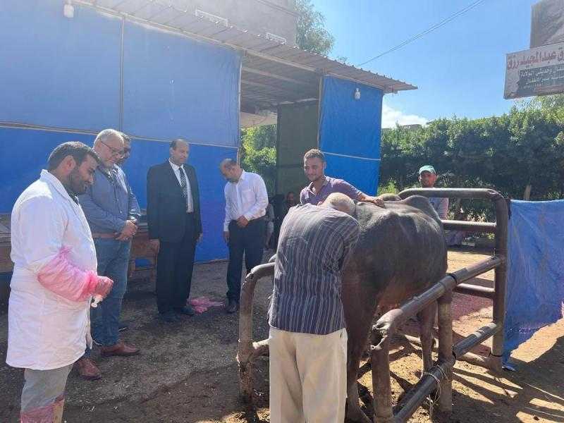 كفرالشيخ: تنظيم قافلة بيطرية مجانية بعاصمة المحافظة ضمن المبادرة الرئاسية حياة كريمة