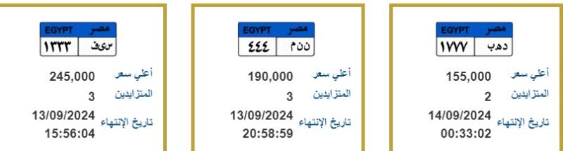 سيف بسعر ربع مليون جنيه .. الداخلية تطرح لوحات معدنية مميزة تدخل المنافسة