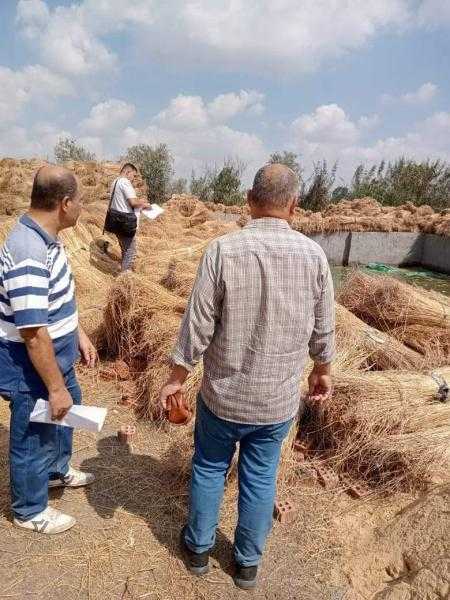 الزراعة: جمع وتدوير ٤٢٦ ألف طن من قش الأرز في 5 محافظات حتى الآن