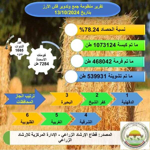 أكثر من مليون طن.. الزراعة تصدر تقرير متابعة منظومة جمع وتدوير قش الأرز