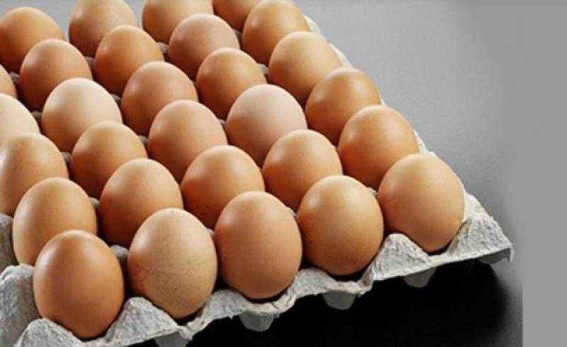 تراجع سعر كرتونة البيض اليوم الأحد في المزرعة.. بكام النهاردة