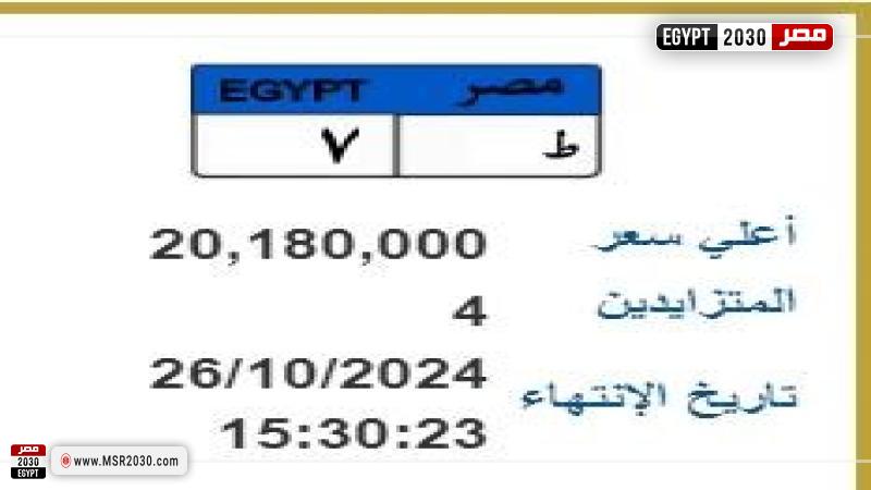  طرح لوحة معدنية  بأكثر من 20 مليون جنيه