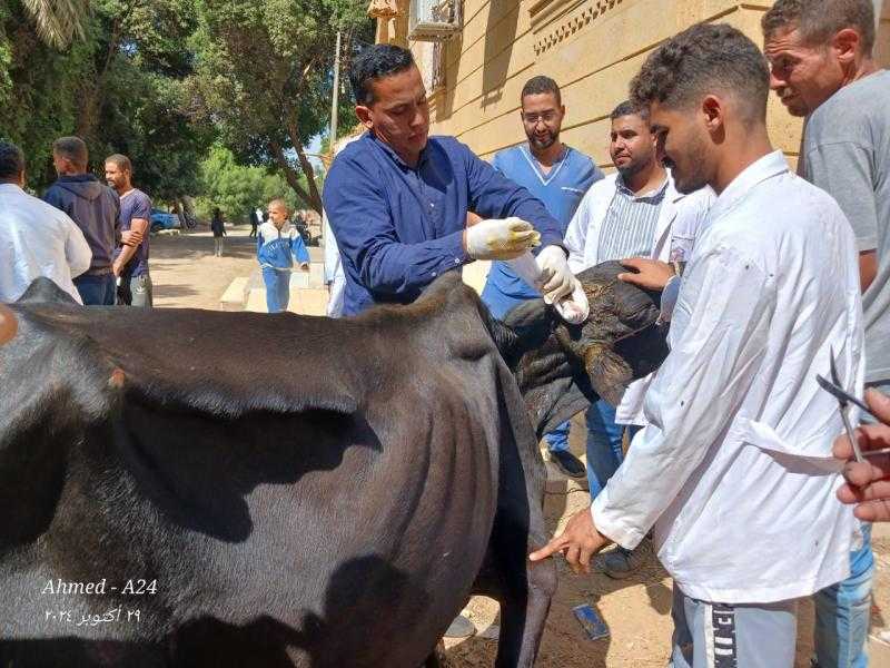 جامعة سوهاج تواصل إطلاق قوافلها البيطرية المجانية لقرية سفلاق وتعالج ٥٣٢ حيوان