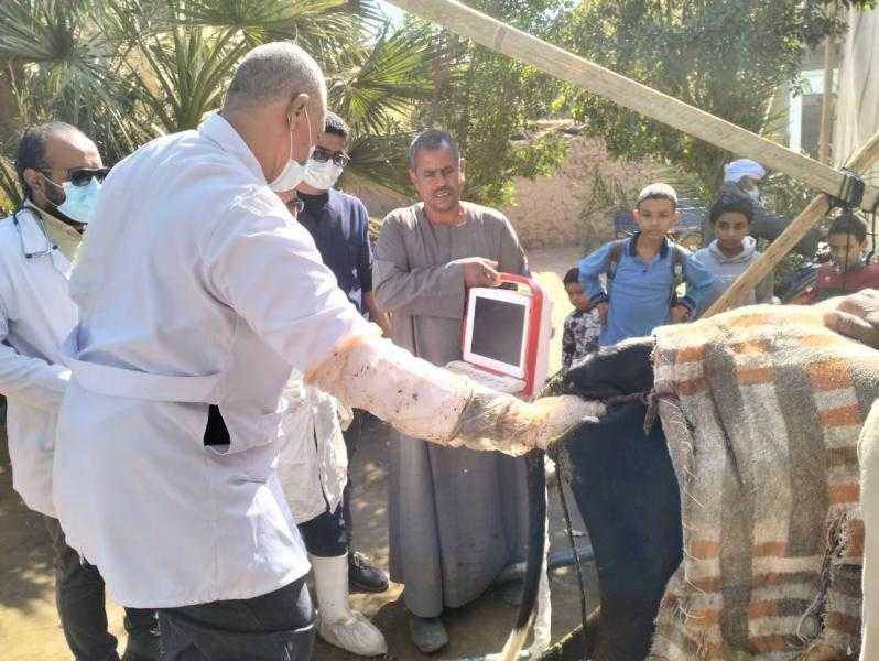 قافلة بيطرية للكشف على الحيوانات بالزينية بالأقصر