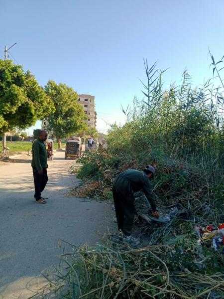 استمرار أعمال قص وتهذيب الأشجار وحملات النظافة بمركز أرمنت بالأقصر