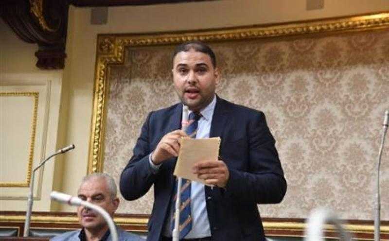 برلماني: كثرة الشائعات تؤكد حجم المؤامرات على الدولة المصرية